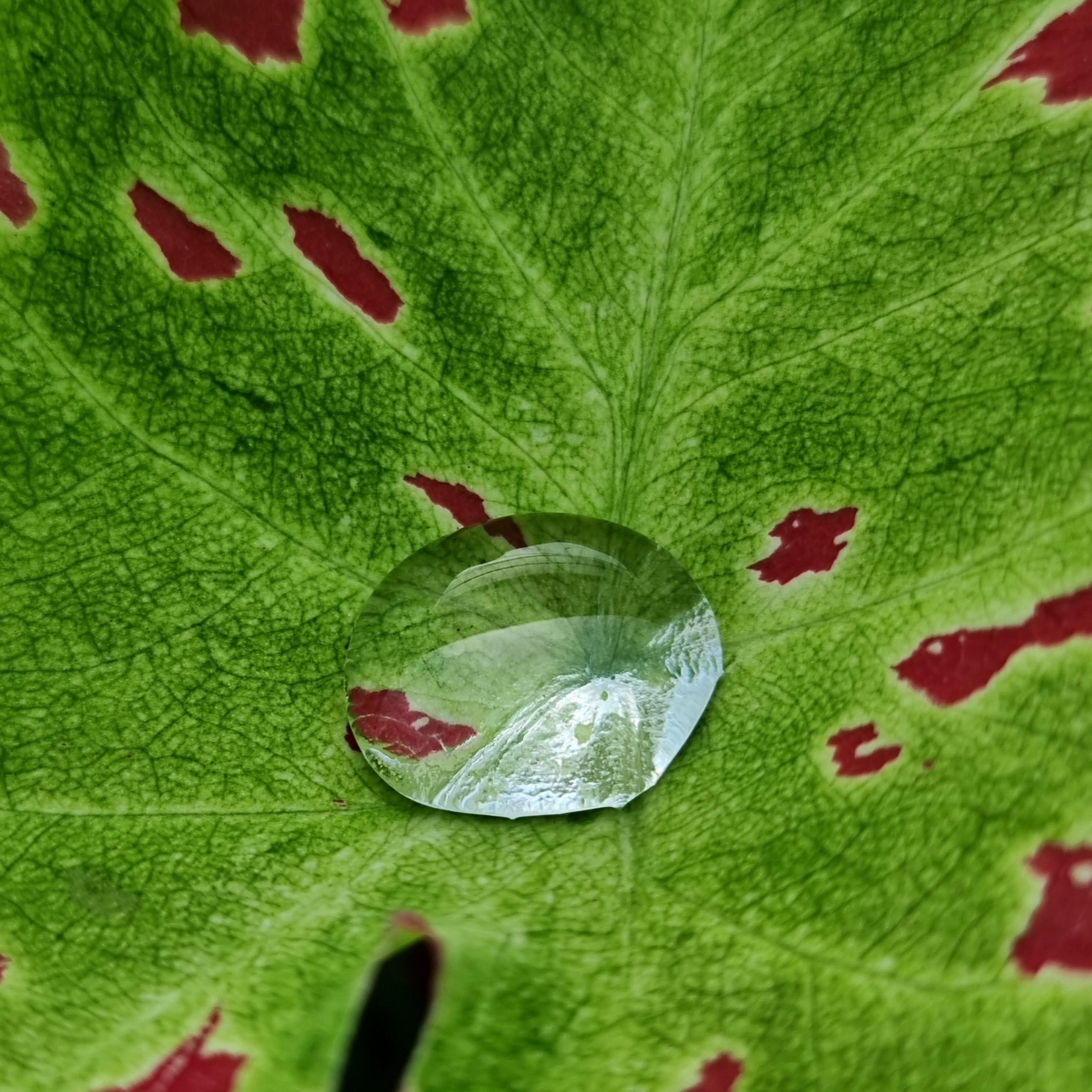 Slideshow Image 4
