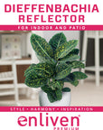 Dieffenbachia maculata Reflector