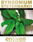 Syngonium steyermarkii
