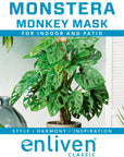 Monstera friedrichsthalii 'Monkey Mask'